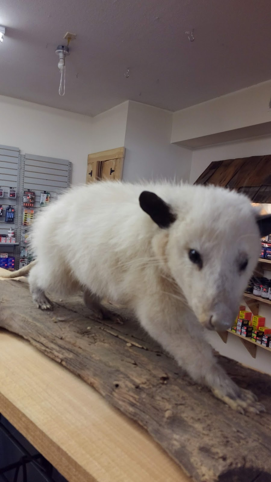 Country Village Oven | restaurant | 220 Knight Haven Cir, Star City, AR 71667, USA | 8706283683 OR +1 870-628-3683