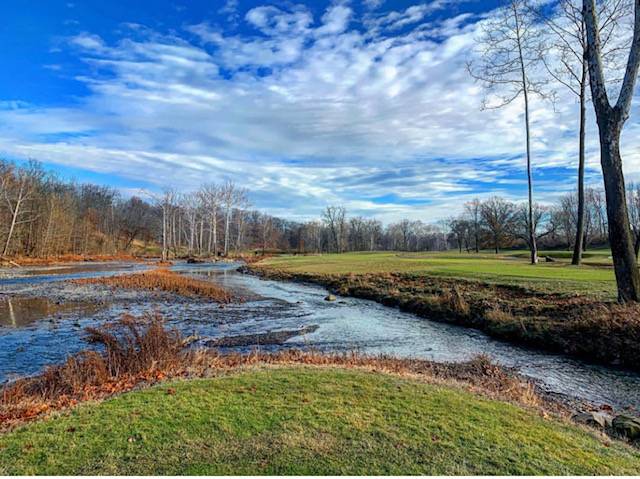 Valley of the Eagles Golf Club | restaurant | 1100 Gulf Rd, Elyria, OH 44035, USA | 4403651411 OR +1 440-365-1411