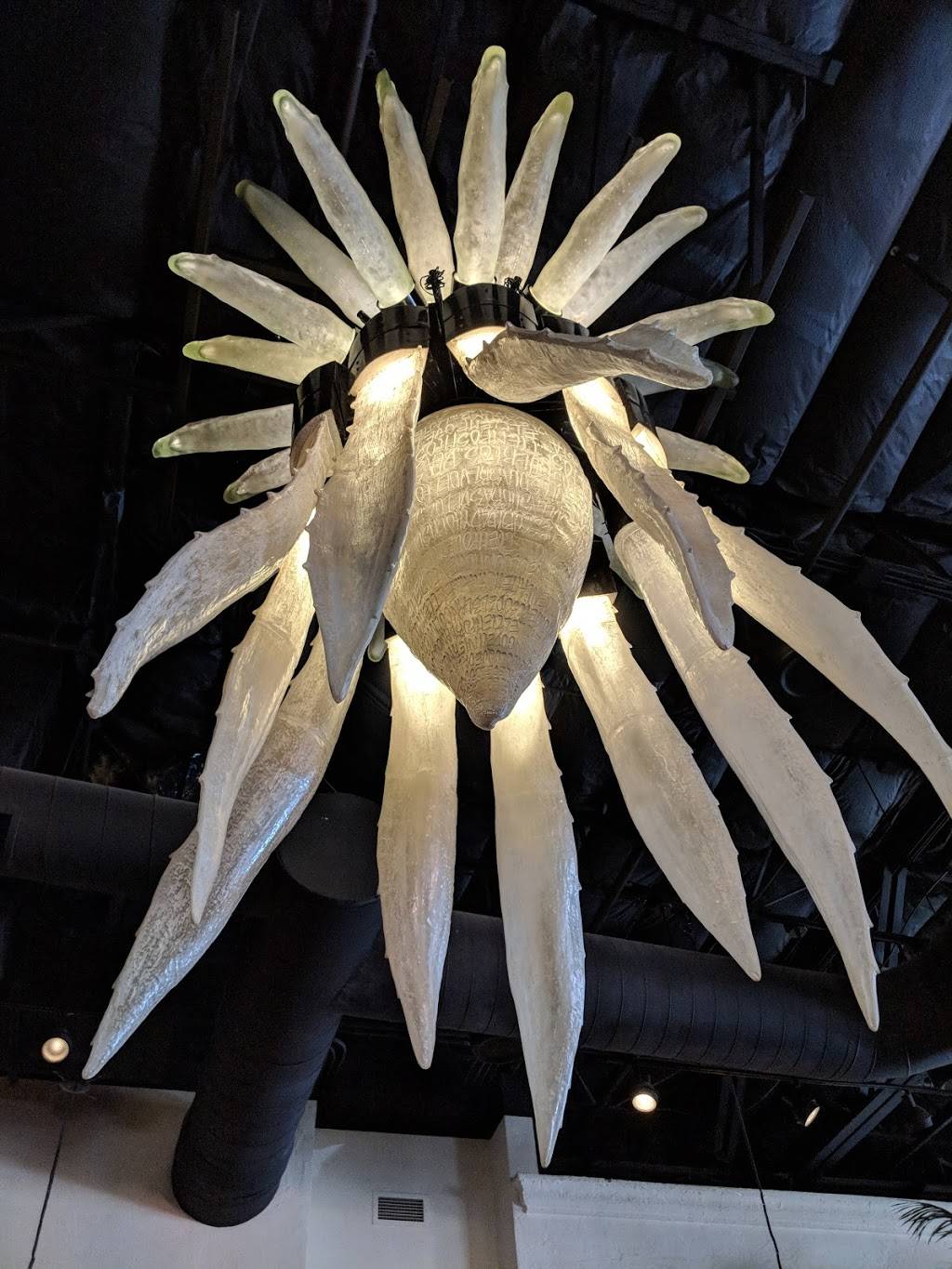 Zócalo | restaurant | 1182 Roseville Pkwy, Roseville, CA 95678, USA | 9167880303 OR +1 916-788-0303