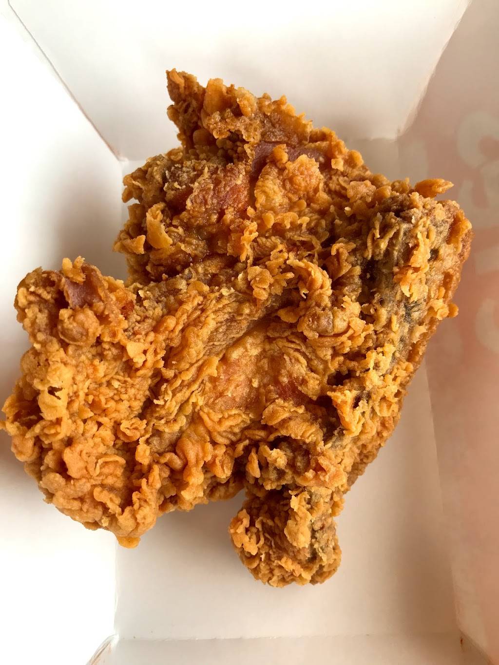 Popeyes Louisiana Kitchen | restaurant | 1412 N Main St, Gainesville, FL 32601, USA | 3523771733 OR +1 352-377-1733