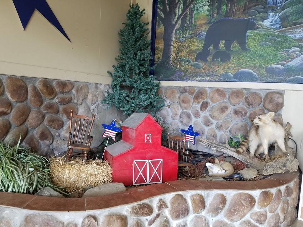 Southern Gals Country Cooking | restaurant | 400 Rodney Orr Bypass, Robbinsville, NC 28771, USA | 8284799405 OR +1 828-479-9405