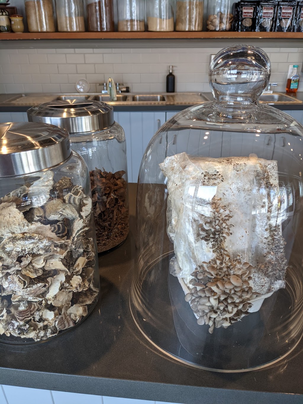 Far West Fungi | restaurant | 224 Laurel St Suite A101, Santa Cruz, CA 95060, USA | 8312262626 OR +1 831-226-2626