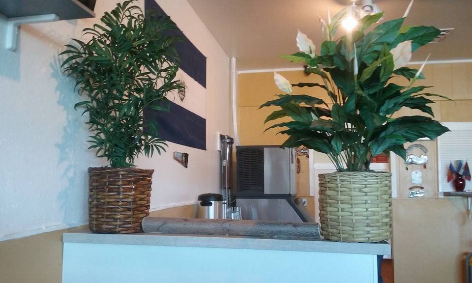 Las Brumas Salvadorian Food | restaurant | 913 W 10th St, Antioch, CA 94509, USA | 9257323625 OR +1 925-732-3625