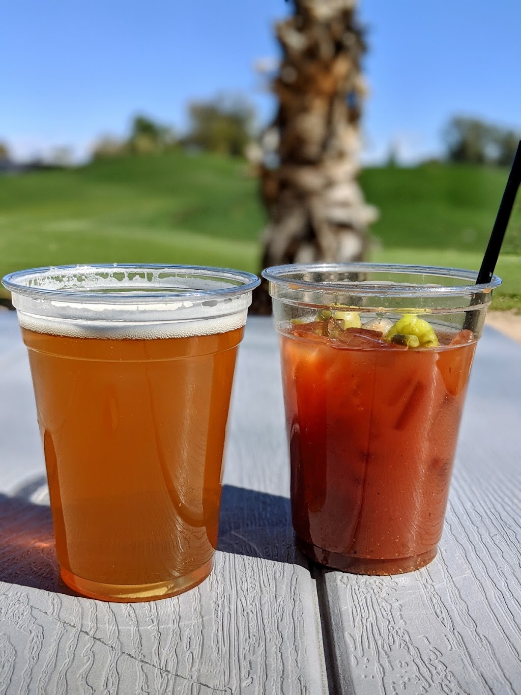 Great Eagle Bar & Grill | restaurant | 17091 N Happy Trails Blvd, Surprise, AZ 85374, USA | 6235846045 OR +1 623-584-6045