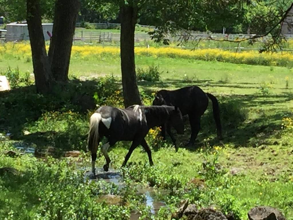 Burger King | restaurant | 7956 Lankershim Blvd, North Hollywood, CA 91605, USA | 8187654486 OR +1 818-765-4486