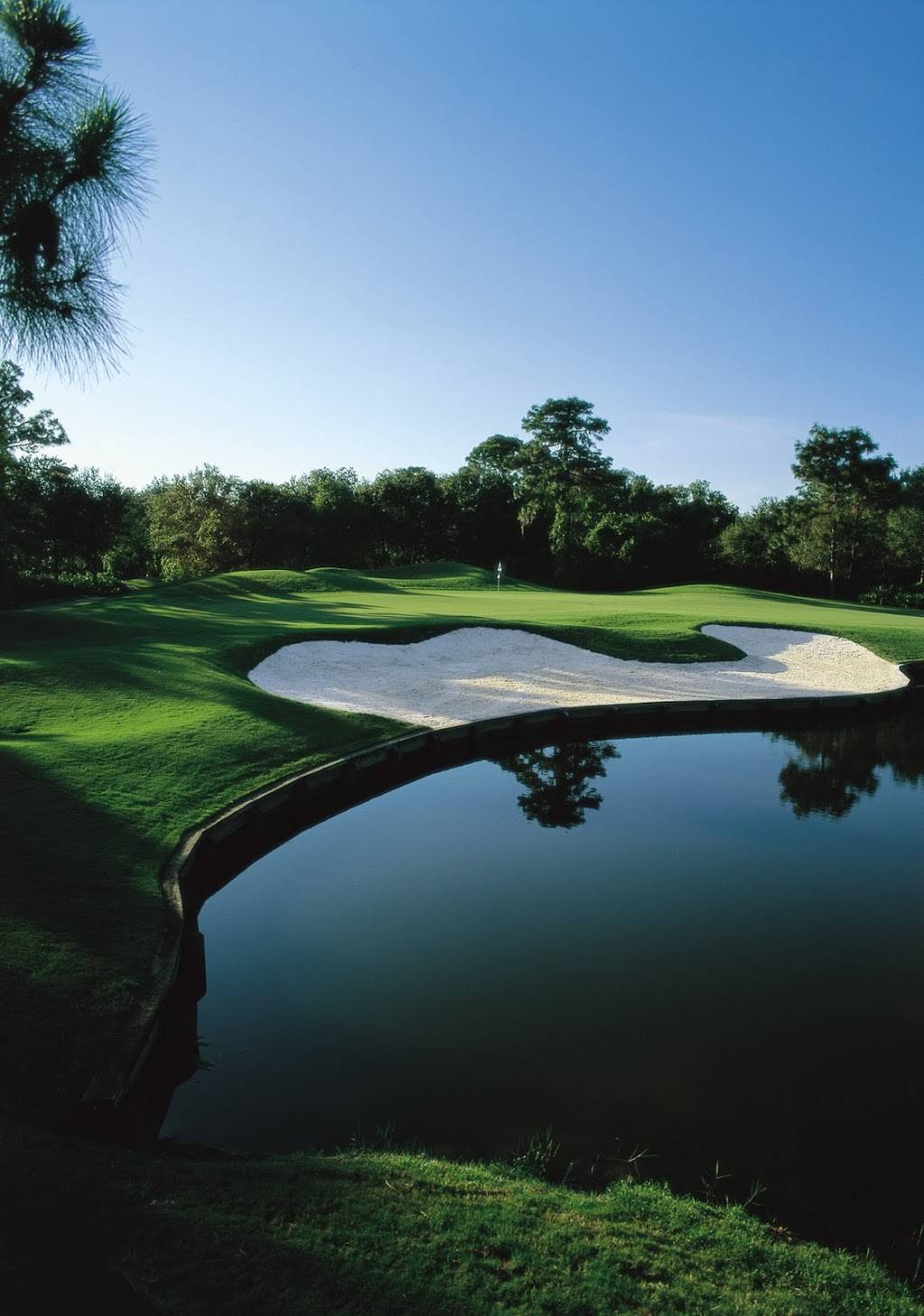 University Park Country Club | restaurant | 7671 The Park Blvd, University Park, FL 34201, USA | 9413553888 OR +1 941-355-3888