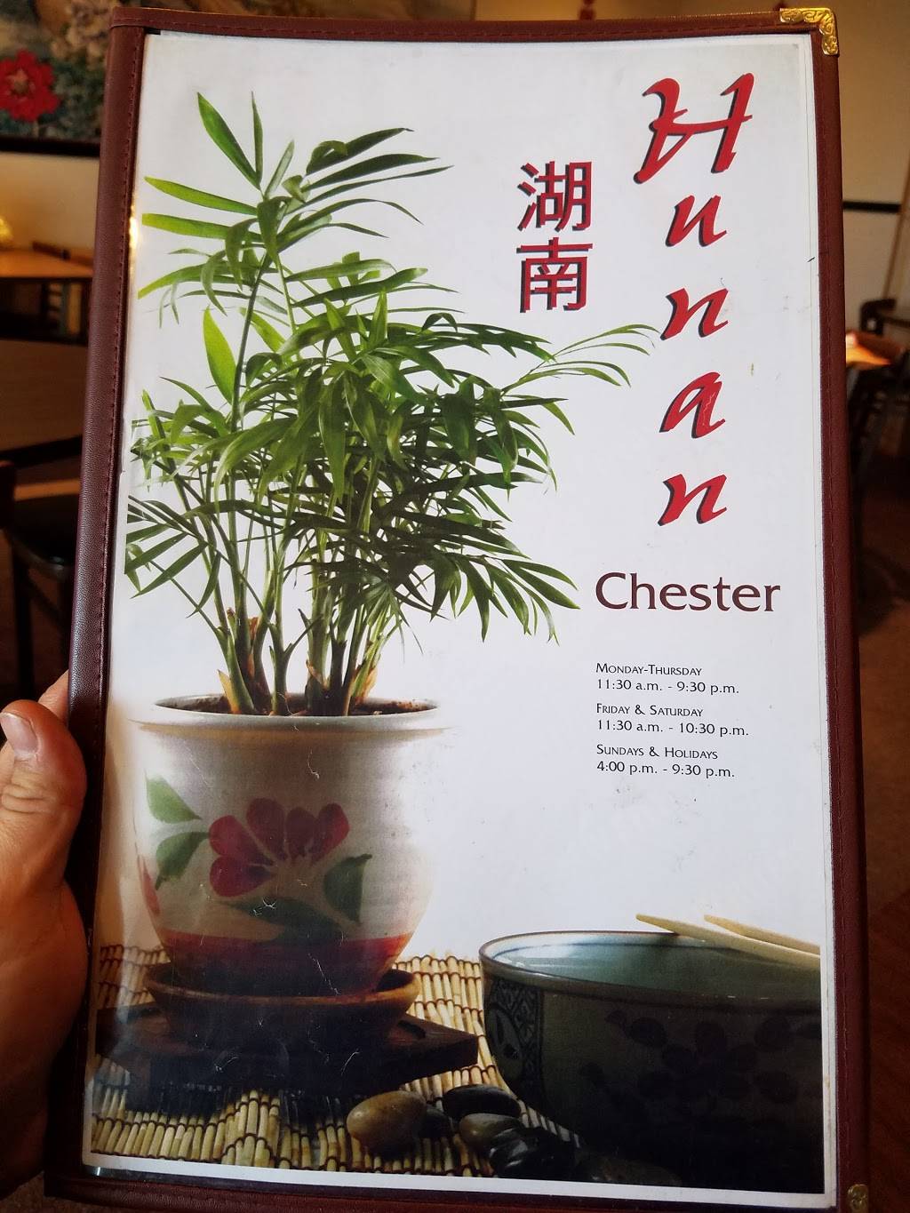 Hunan Chester | restaurant | 12611 Chillicothe Rd, Chesterland, OH 44026, USA | 4407293229 OR +1 440-729-3229