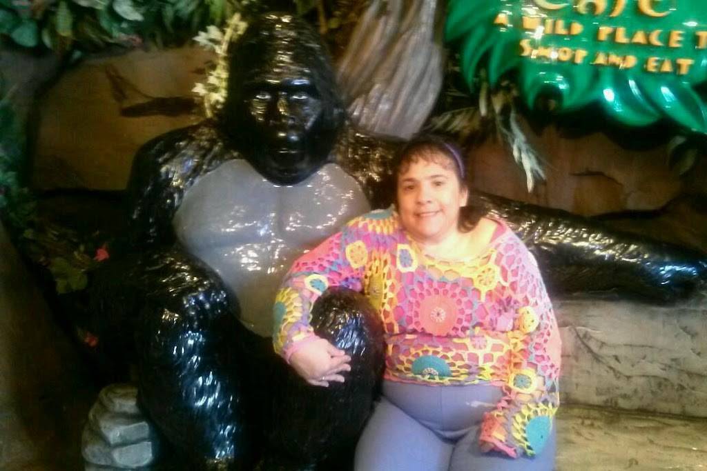 Hibachi-San | restaurant | 2102 Plaza, Santa Rosa, CA 95401, USA | 7075450805 OR +1 707-545-0805