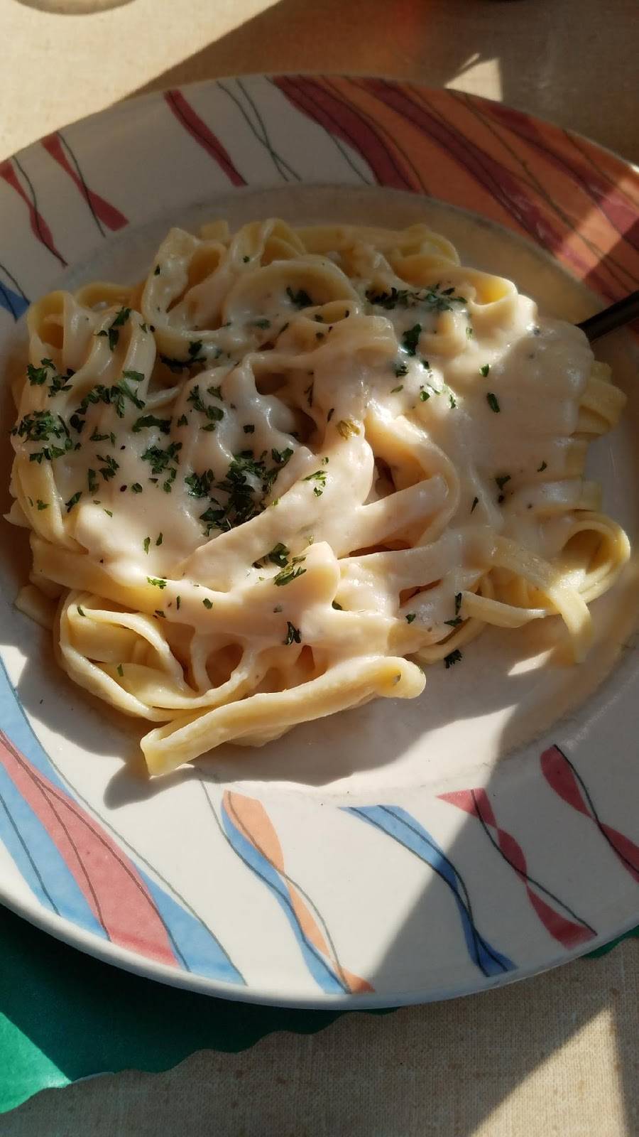 Alamo Restaurant | restaurant | 391 Knoebels Blvd, Elysburg, PA 17824, USA | 5706722031 OR +1 570-672-2031