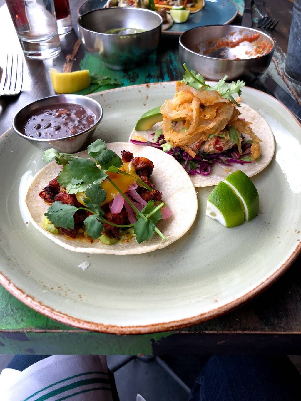 The Painted Burro | restaurant | 219 Elm St, Somerville, MA 02144, USA | 6177760005 OR +1 617-776-0005