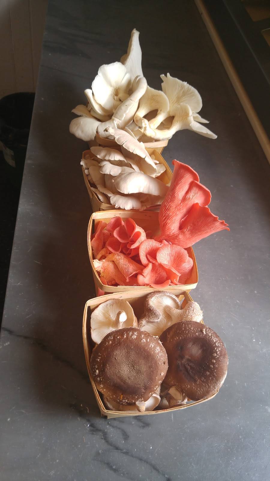 Capers Tap House | restaurant | 28 Bridge Street, Campbellford, ON K0L 1L0, Canada | 7056535262 OR +1 705-653-5262