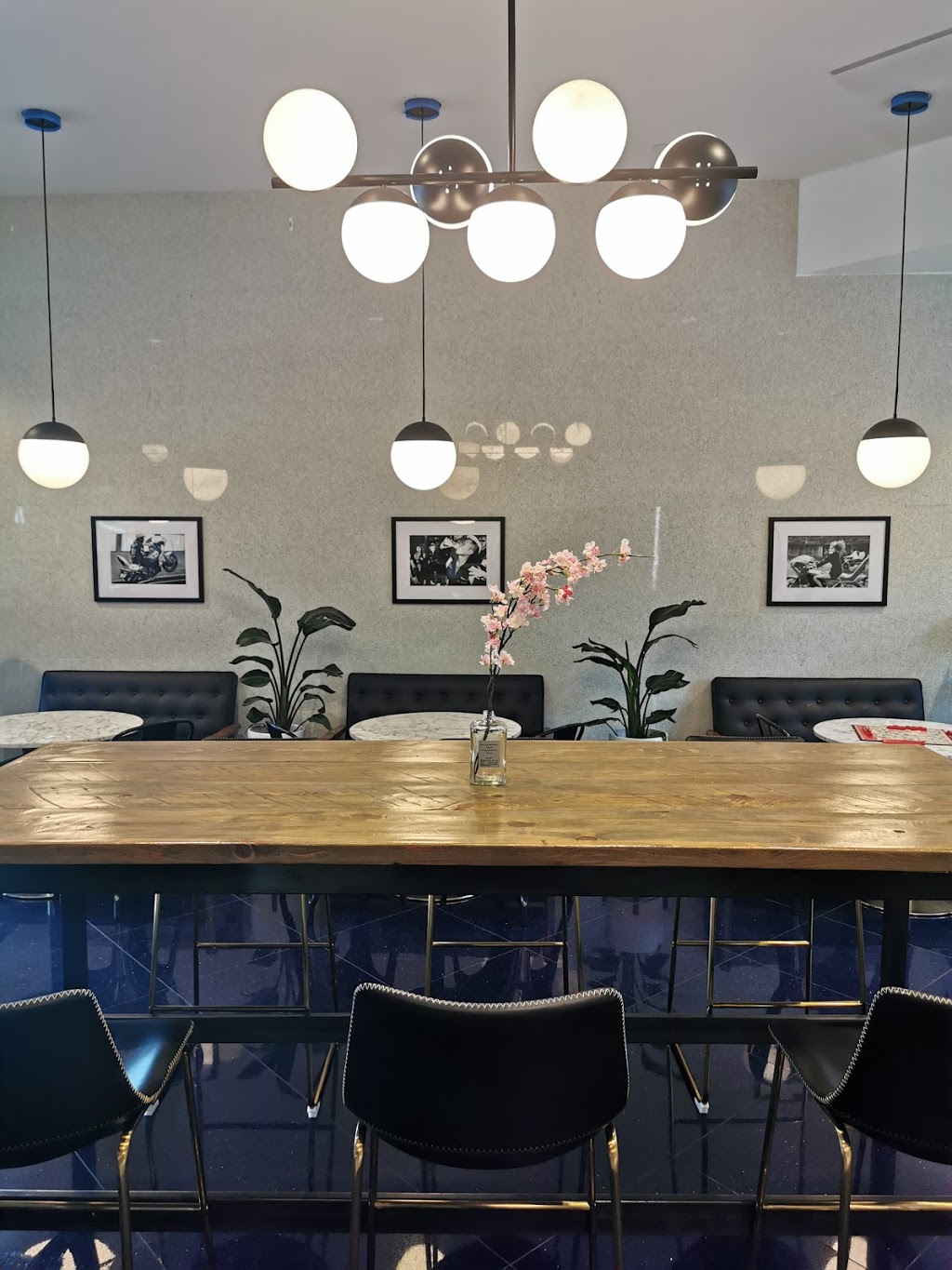 Motoneko Cafe & Izakaya | cafe | 1680 Fruitville Rd 1st floor, Sarasota, FL 34236, USA | 9417024589 OR +1 941-702-4589