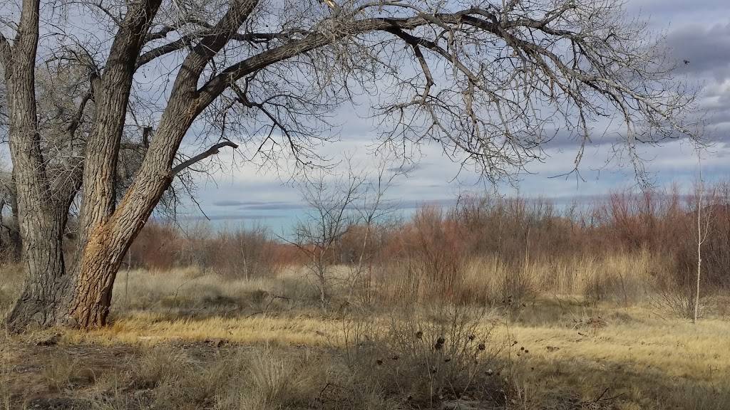 Panda Express | meal takeaway | 3601 Bosque Plaza Ln NW, Albuquerque, NM 87120, USA | 5058976790 OR +1 505-897-6790