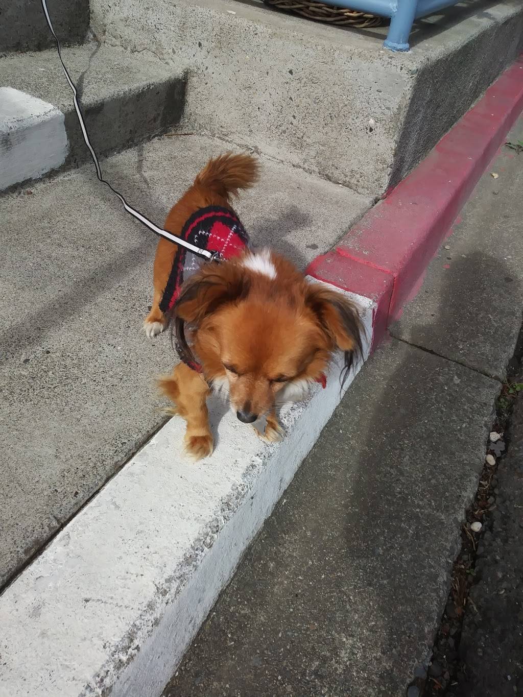 Tubbys | restaurant | 199 Southwest Blvd, Rohnert Park, CA 94928, USA | 7077921232 OR +1 707-792-1232