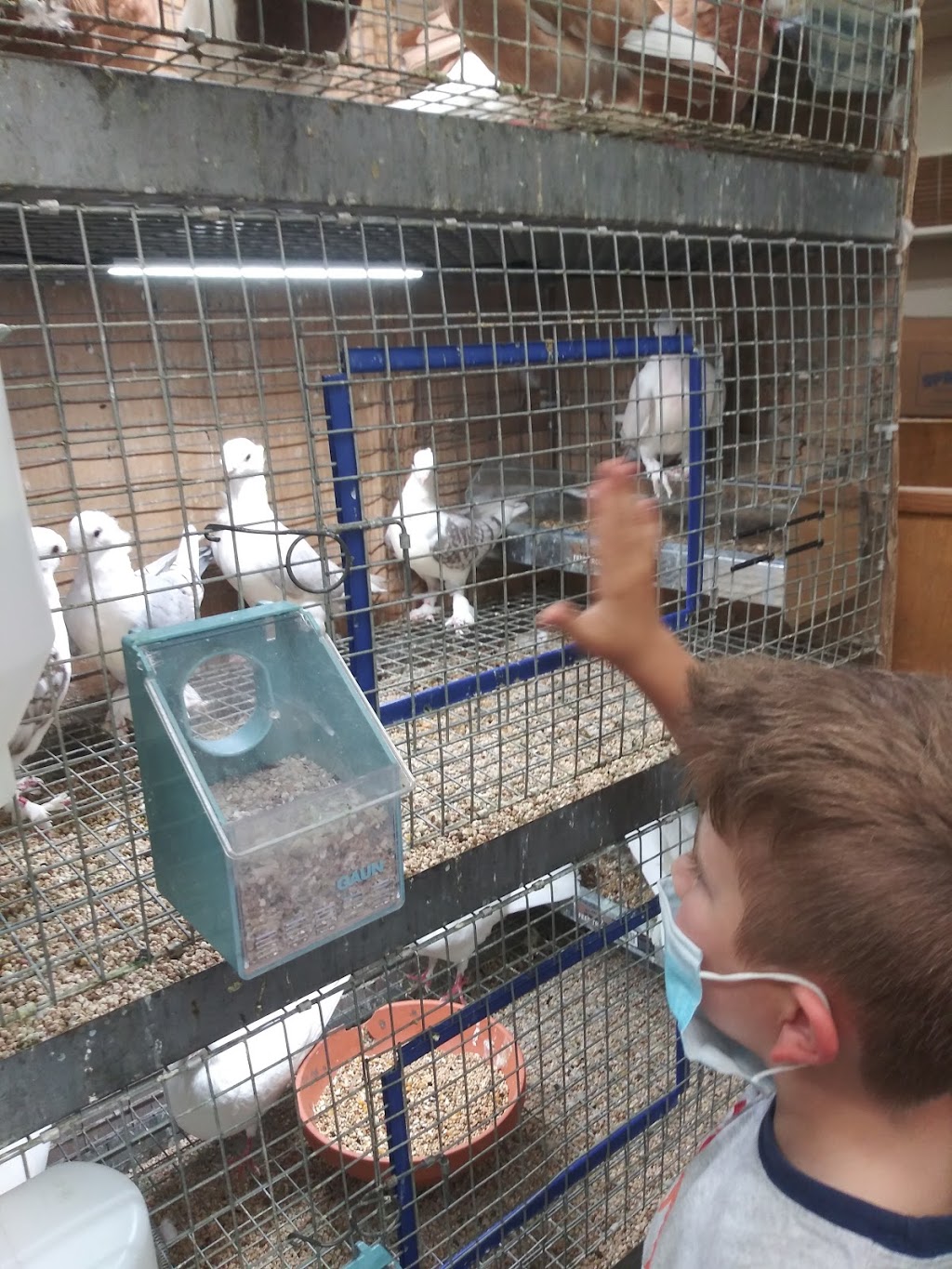 Belmont Feed & Seed | restaurant | 3036 W Belmont Ave, Chicago, IL 60618, USA | 7735881144 OR +1 773-588-1144