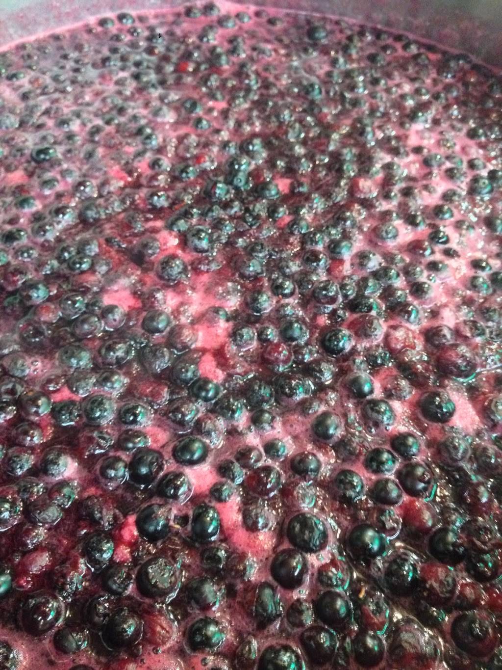 Three Stone Hearth | meal takeaway | 1581 University Ave, Berkeley, CA 94703, USA | 5109811334 OR +1 510-981-1334