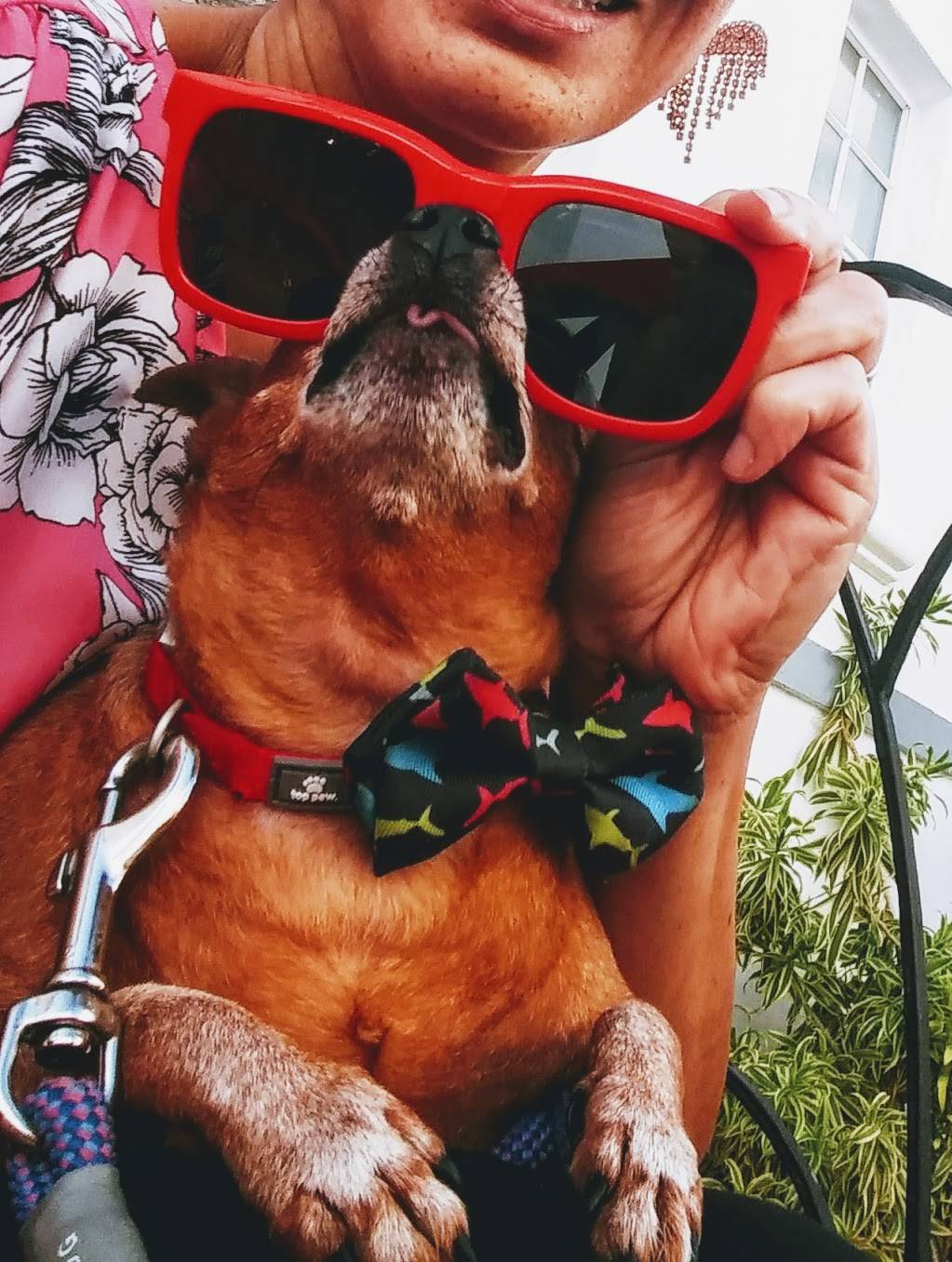 Baltic Hotel Miami Beach | restaurant | 7643 Harding Ave, Miami Beach, FL 33141, USA | 3058618845 OR +1 305-861-8845