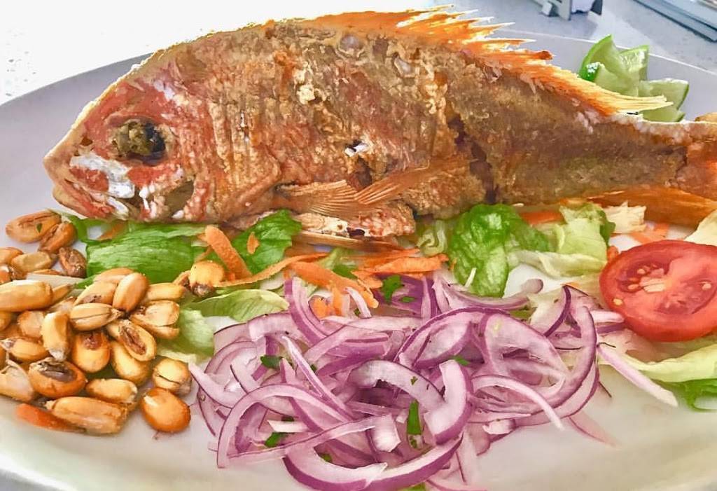 Cabo Blanco Downtown Hollywood | restaurant | 1936 Hollywood Blvd, Hollywood, FL 33020, USA | 9542512230 OR +1 954-251-2230