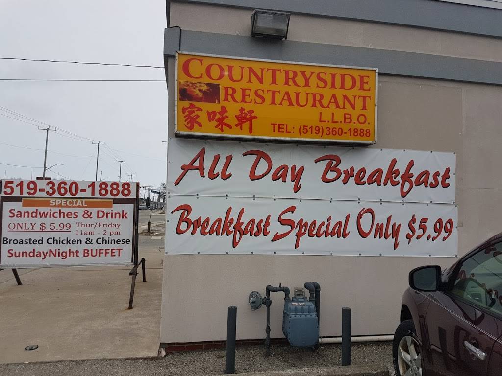 Countryside Chinese Restaurant | restaurant | 393 Queen St, Chatham, ON N7M 2H8, Canada | 5193601888 OR +1 519-360-1888