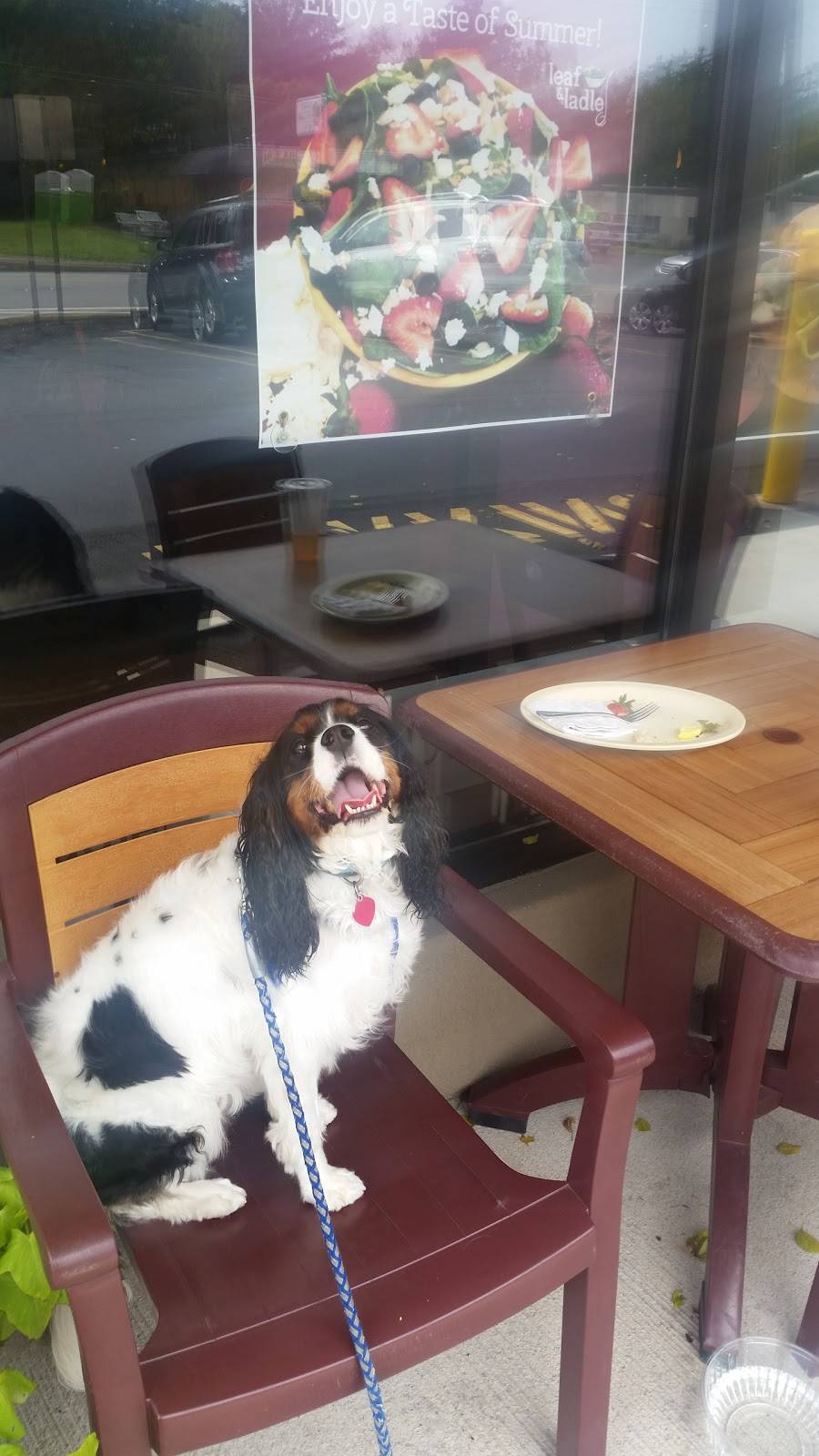 Leaf & Ladle | restaurant | 59 S Mountain Blvd, Mountain Top, PA 18707, USA | 5704749200 OR +1 570-474-9200