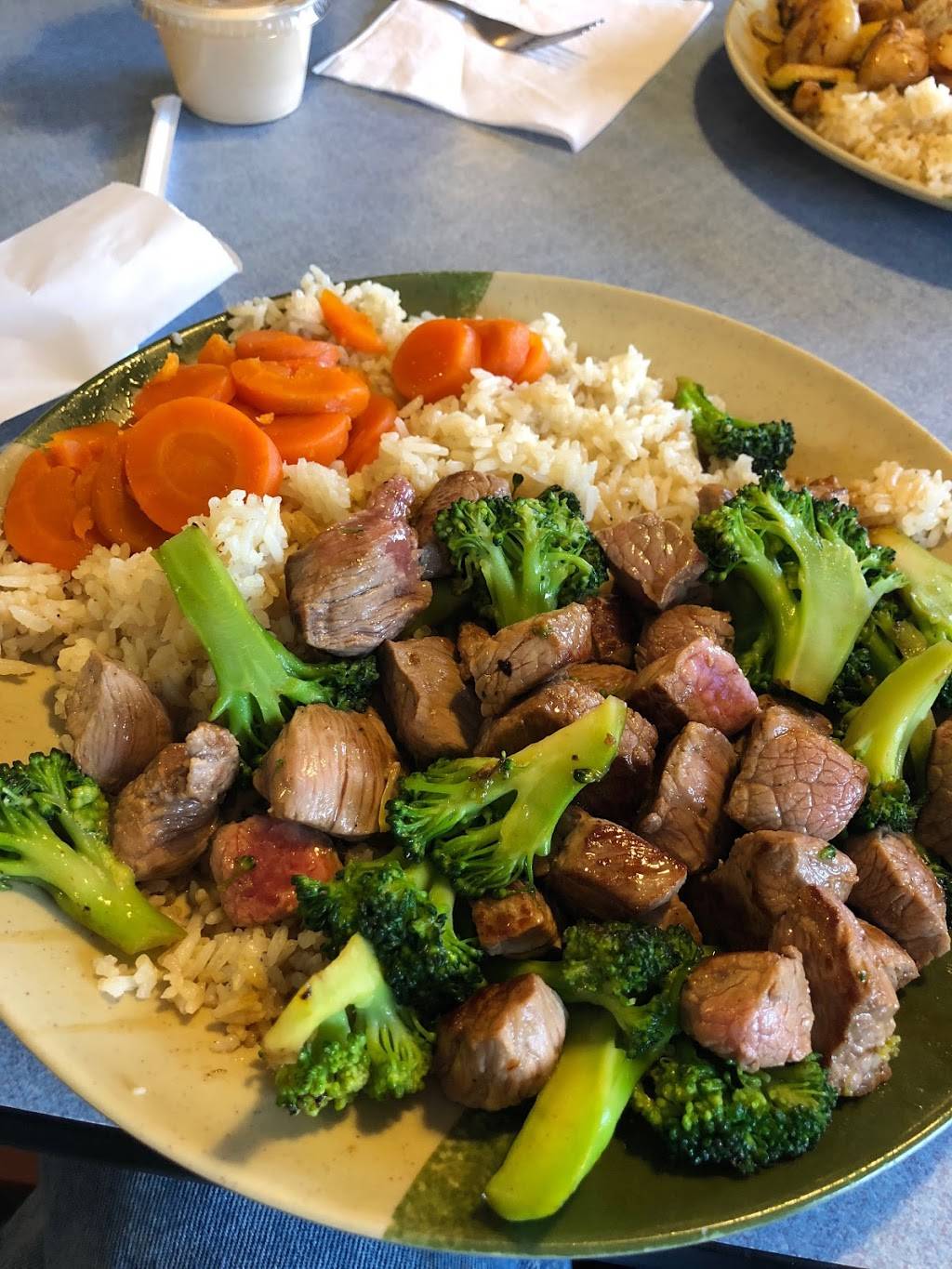 Fuji Yama | restaurant | 1242 Asheville Hwy, Brevard, NC 28712, USA | 8288844002 OR +1 828-884-4002