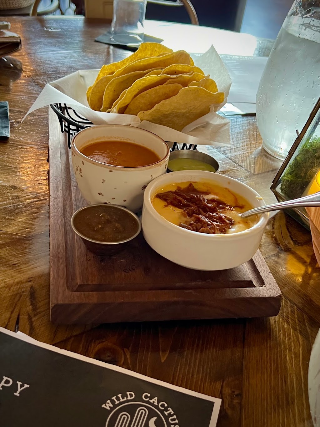 Wild Cactus Cantina & Grill | restaurant | 110 W Mulberry St, Denton, TX 76201, USA | 9408081568 OR +1 940-808-1568