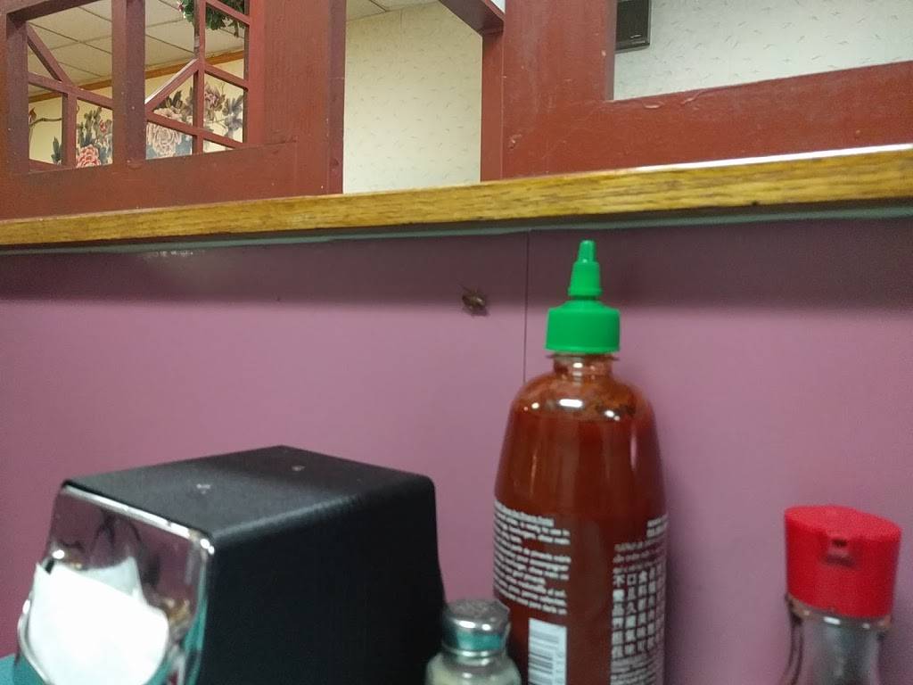 New Imperial Chinese Buffet | restaurant | 18961 Park Avenue Plaza, Meadville, PA 16335, USA | 8143331000 OR +1 814-333-1000