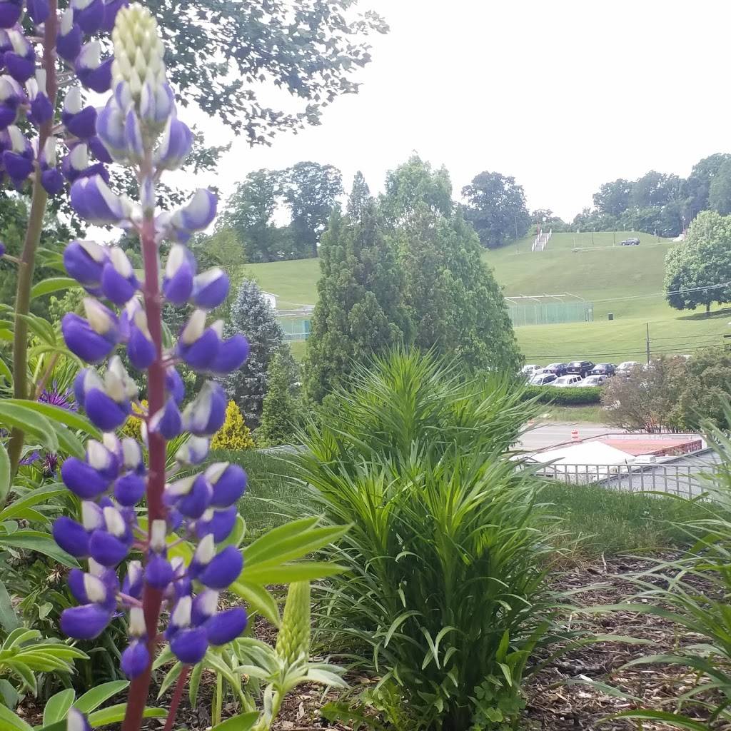 Hilltop Restaurant | restaurant | 3132 Shenandoah Ave NW, Roanoke, VA 24017, USA | 5403444404 OR +1 540-344-4404