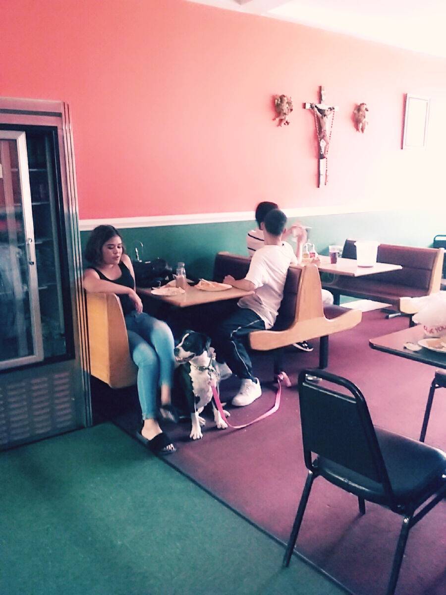 King & Sons Pizzeria Inc | restaurant | 718 Hamburg Turnpike, Pompton Lakes, NJ 07442, USA | 9738396006 OR +1 973-839-6006