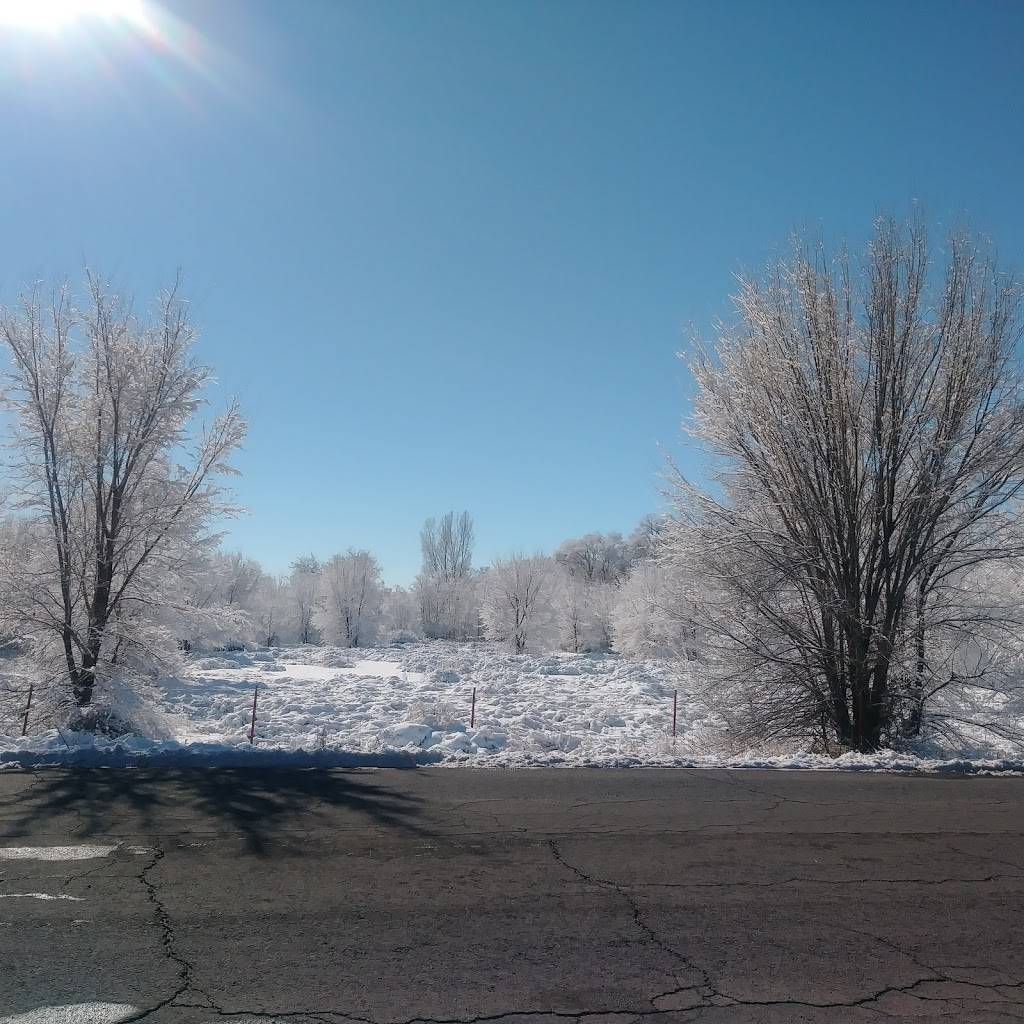 Circle T Burgers | restaurant | 625 E Reinken Ave #4533, Belen, NM 87002, USA | 5058642929 OR +1 505-864-2929