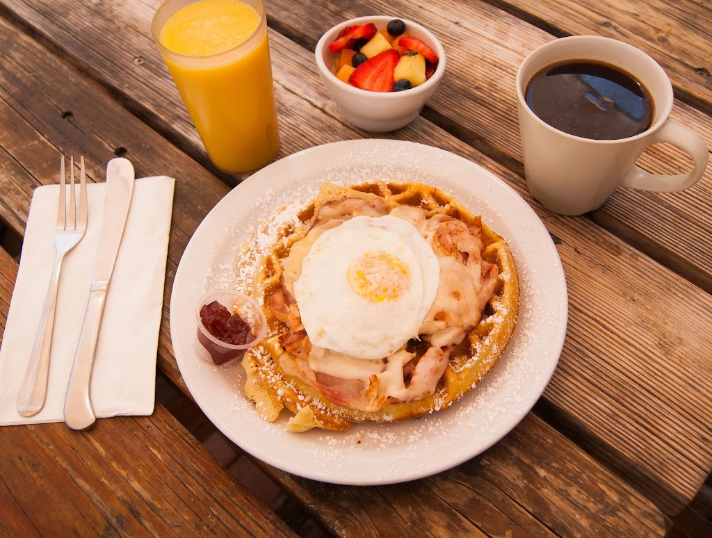 Alo Cafe | restaurant | 6960 E 1st St, Scottsdale, AZ 85251, USA | 4808784172 OR +1 480-878-4172