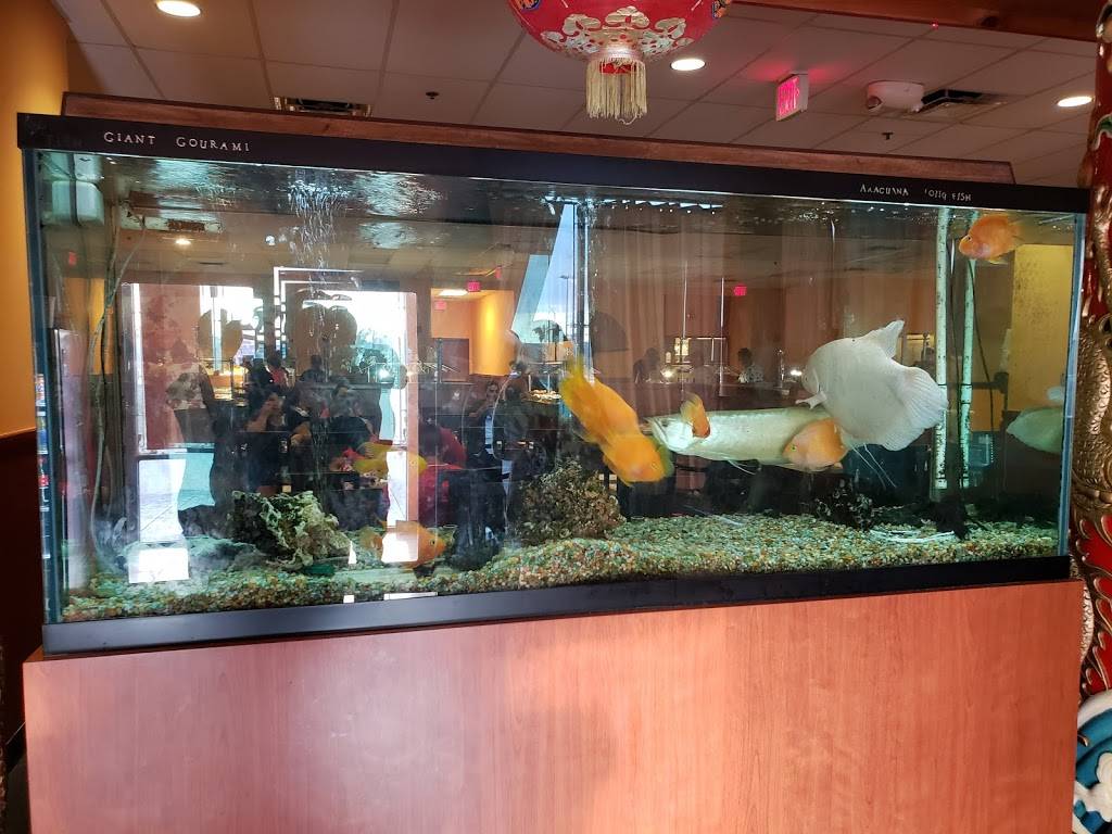 China Buffet | restaurant | 3800 W 18th Ave #100, Hialeah, FL 33012, USA | 3058198936 OR +1 305-819-8936