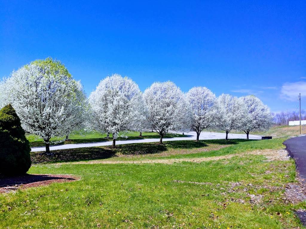 K Vays Enterprises Inc | restaurant | 400 Mars Hill Rd, Irwin, PA 15642, USA | 7244469701 OR +1 724-446-9701