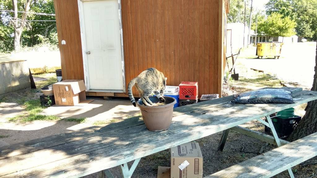 Shed | restaurant | 21464 North Dr, Havana, IL 62644, USA | 3095353389 OR +1 309-535-3389