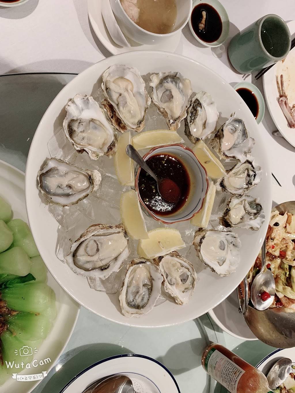 Lou Joe Restaurant | restaurant | 255 Willis Ave, Roslyn Heights, NY 11577, USA | 5164847456 OR +1 516-484-7456