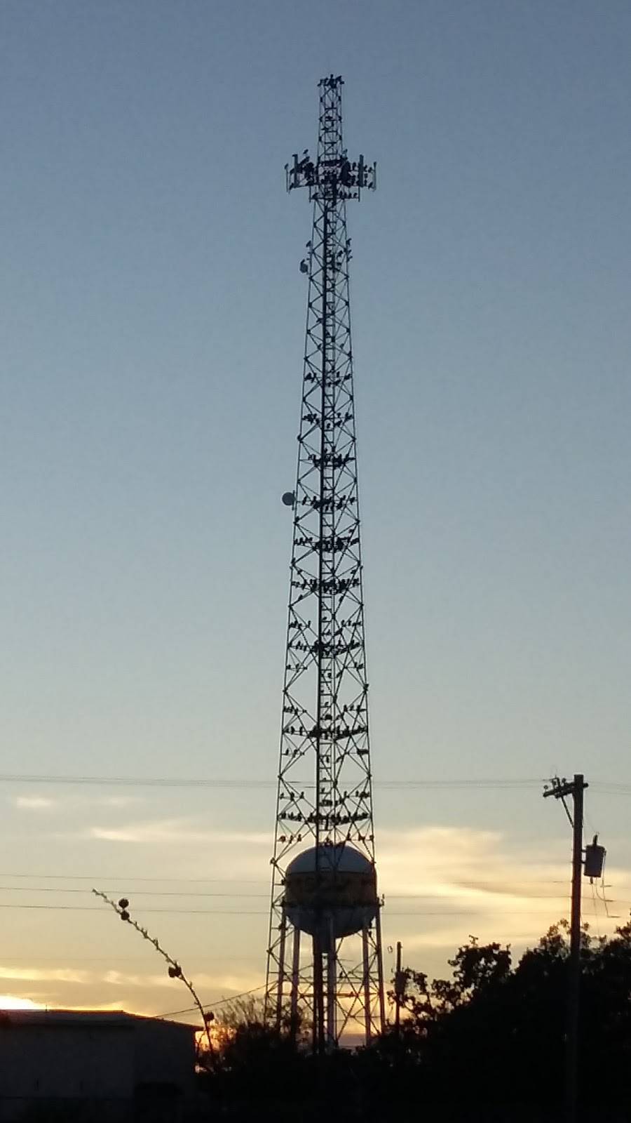 Subway | meal takeaway | 2111 Conrad Hilton Blvd Ave, Cisco, TX 76437, USA | 2544421990 OR +1 254-442-1990