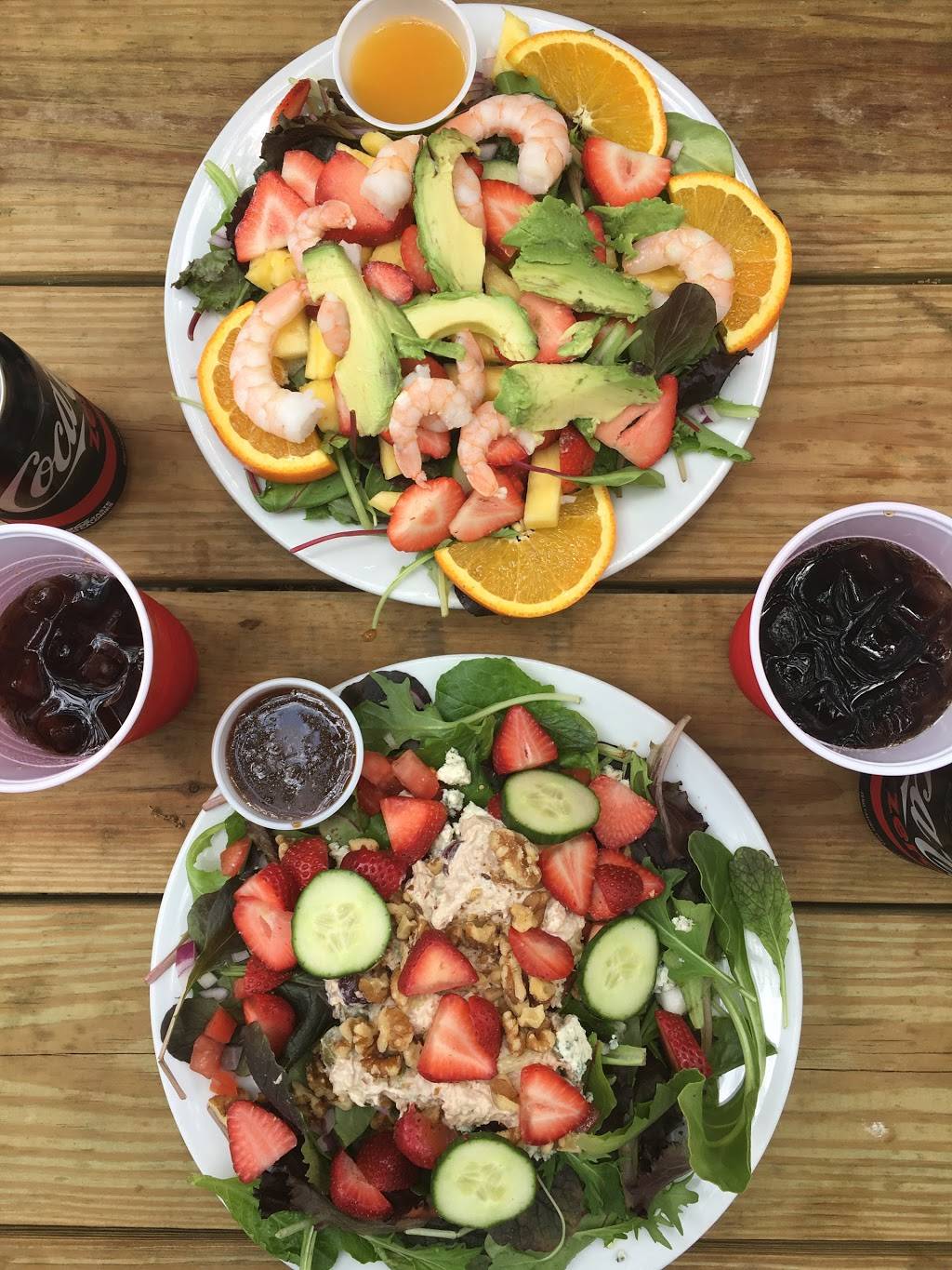 Survey Cafe | cafe | 10530 Wilson St, Bonita Springs, FL 34135, USA | 2399922233 OR +1 239-992-2233