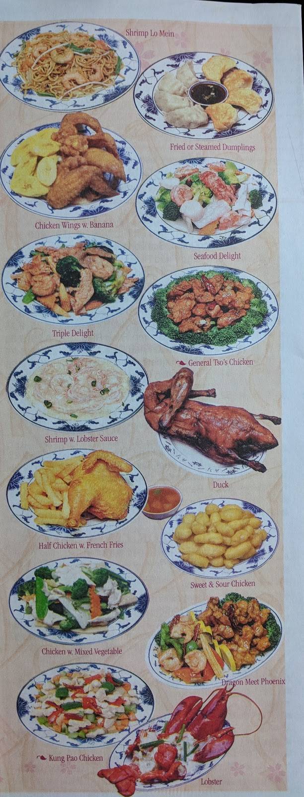 Halal Dynasty | restaurant | 172-29 Hillside Avenue, Jamaica, NY 11432, USA | 7182986888 OR +1 718-298-6888