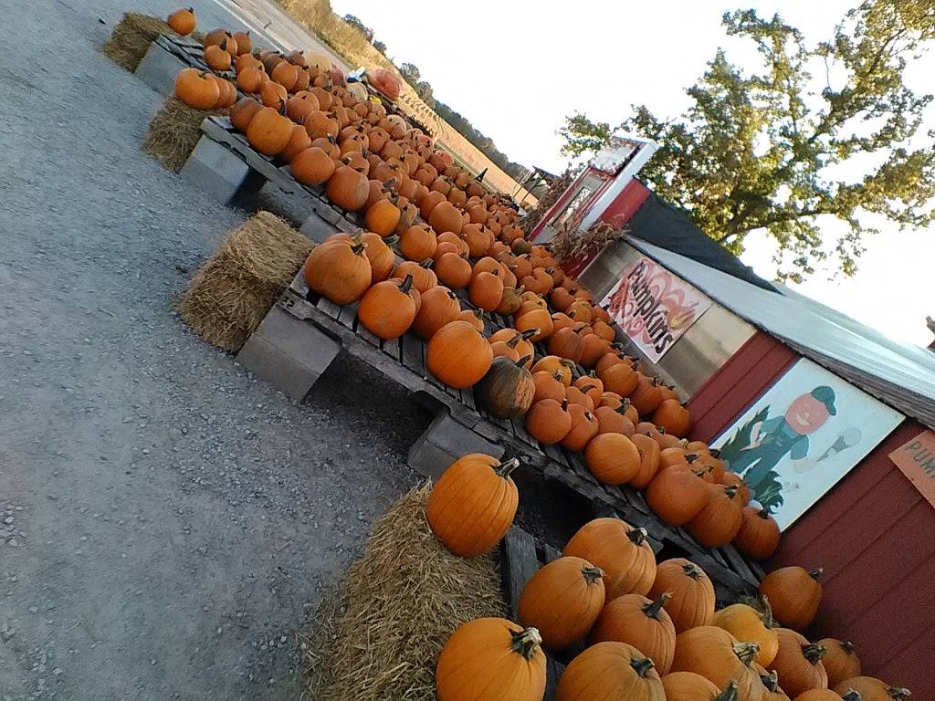 Fashion Farm Inc | restaurant | 1680 Lincolnway W, Ligonier, IN 46767, USA | 2608944498 OR +1 260-894-4498