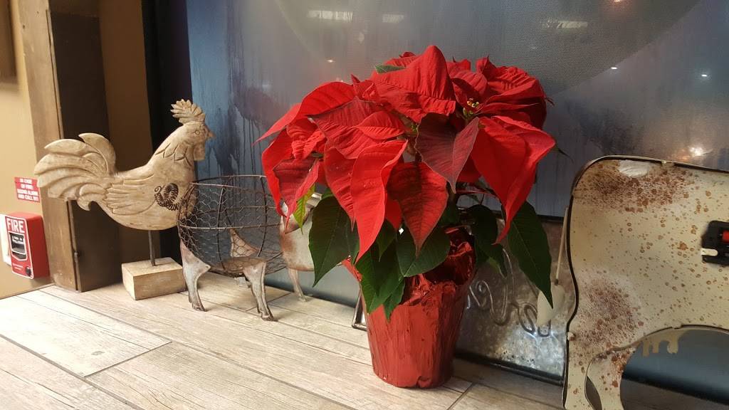 Dibbs BBQ | restaurant | 5617 Lancaster Ave, Philadelphia, PA 19131, USA | 2158766500 OR +1 215-876-6500