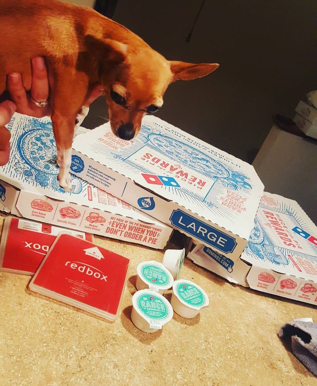 Dominos Pizza | meal delivery | 640 Huebner Rd, Fort Riley, KS 66442, USA | 7857612480 OR +1 785-761-2480