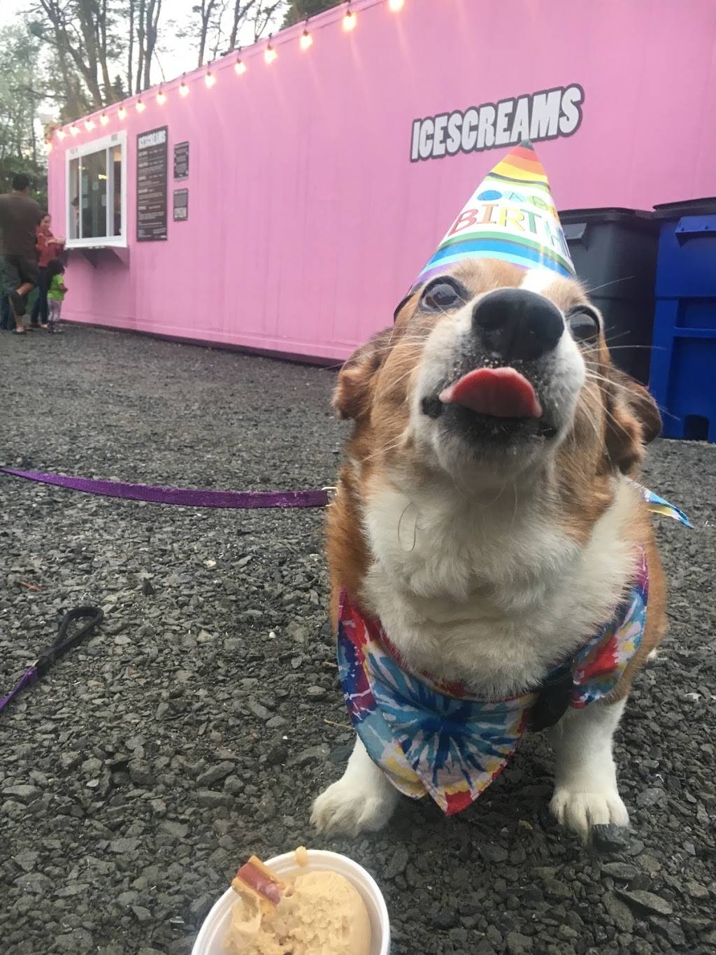 ICESCREAMS | restaurant | 669 County Rte 2, Elizaville, NY 12523, USA | 5187218865 OR +1 518-721-8865