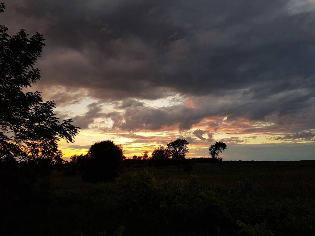 Skinny Sticks Maple Syrup | restaurant | 260 E 21st St, Marathon City, WI 54448, USA | 7154433564 OR +1 715-443-3564