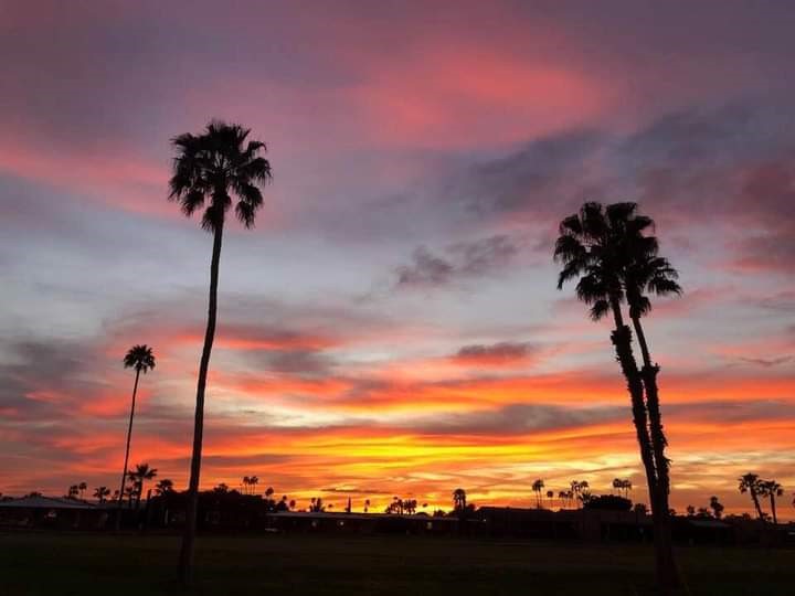 Apache Wells Country Club | restaurant | 5601 E Hermosa Vista Dr, Mesa, AZ 85215, USA | 4808304725 OR +1 480-830-4725