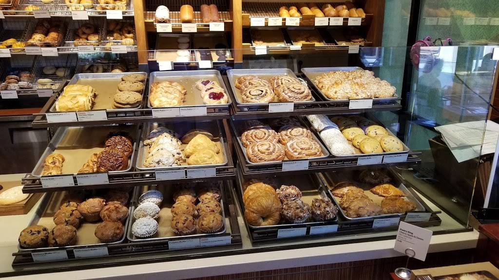 Panera Bread | cafe | 503 Coleman Ave, San Jose, CA 95110, USA | 4082990993 OR +1 408-299-0993