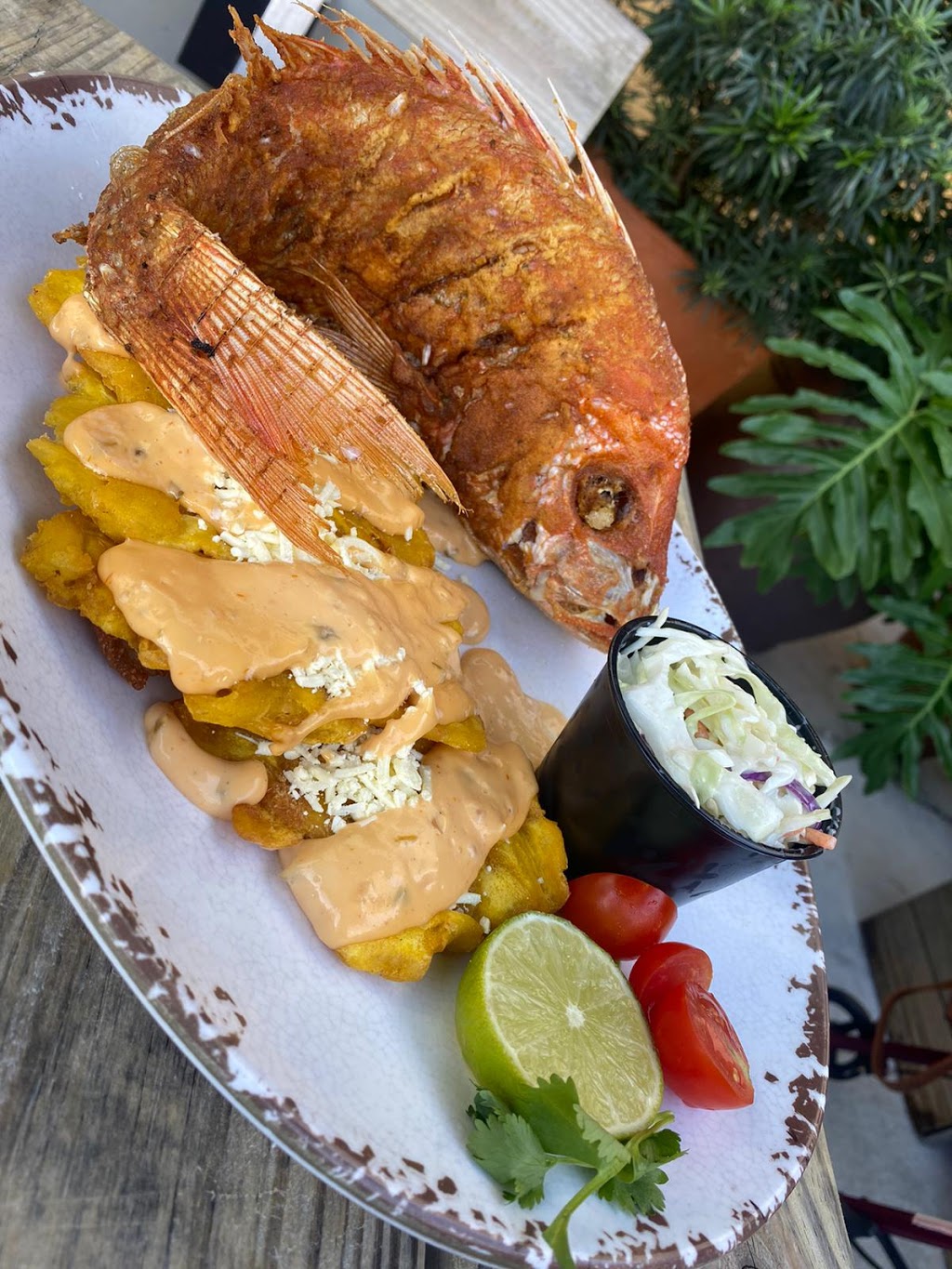 Francisca Charcoal Chicken & Meats (Miami Lakes) | restaurant | 6700 Main St, Miami Lakes, FL 33014, USA | 3054564942 OR +1 305-456-4942