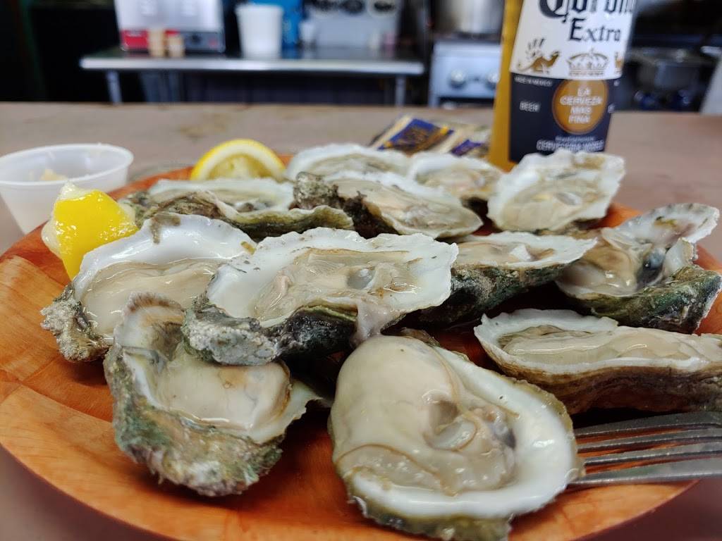 Tarks Of Dania Beach | restaurant | 1317 S Federal Hwy, Dania Beach, FL 33004, USA | 9549258275 OR +1 954-925-8275