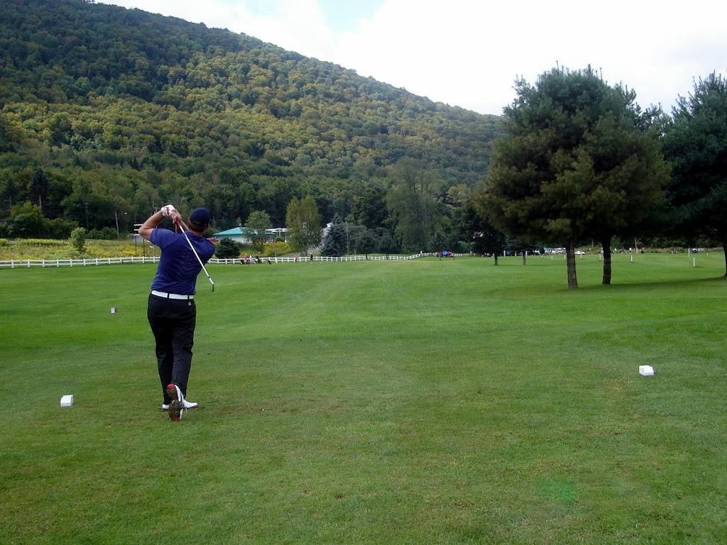 The Meadows Golf Center and All American BBQ | restaurant | 42565 NY-28, Margaretville, NY 12455, USA | 8455864104 OR +1 845-586-4104