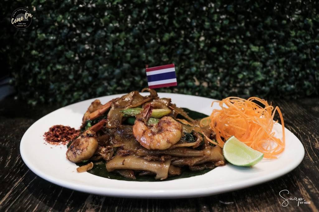 Come On Thai Cuisine | restaurant | 7803 3rd Ave, Brooklyn, NY 11209, USA | 3475606666 OR +1 347-560-6666
