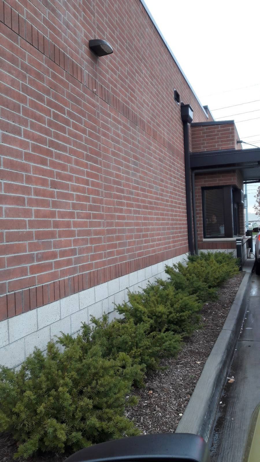 Starbucks | cafe | 24798 William P Rosso Hwy, Clinton Twp, MI 48036, USA | 2482519617 OR +1 248-251-9617